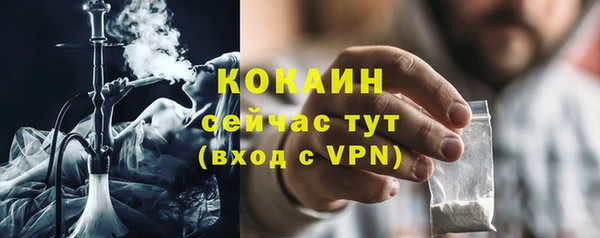 первитин Богданович