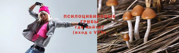первитин Богданович
