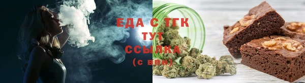 индика Аркадак