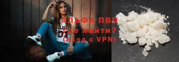 индика Аркадак