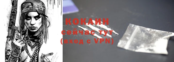первитин Богданович