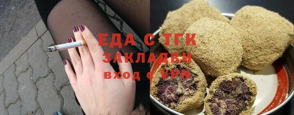 индика Аркадак