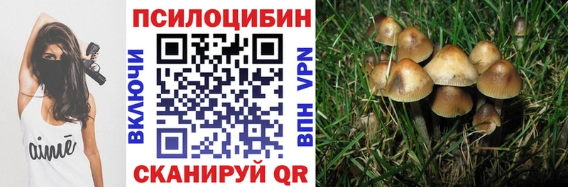 Псилоцибиновые грибы мухоморы  цена   Кировск 